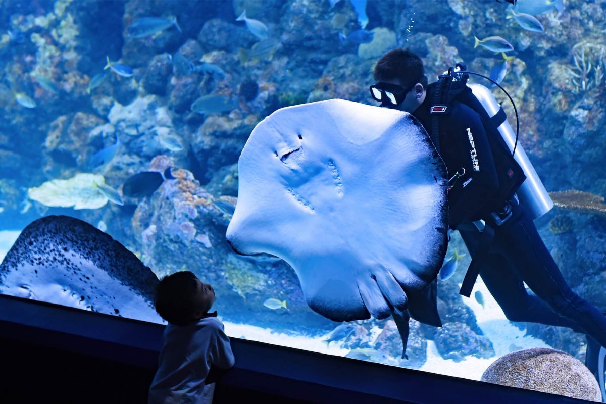20 Enriching Activities for Your Kids This Summer