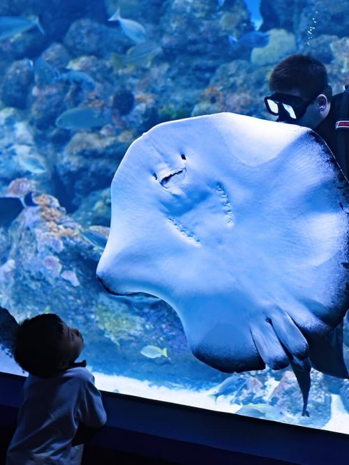 20 Enriching Activities for Your Kids This Summer