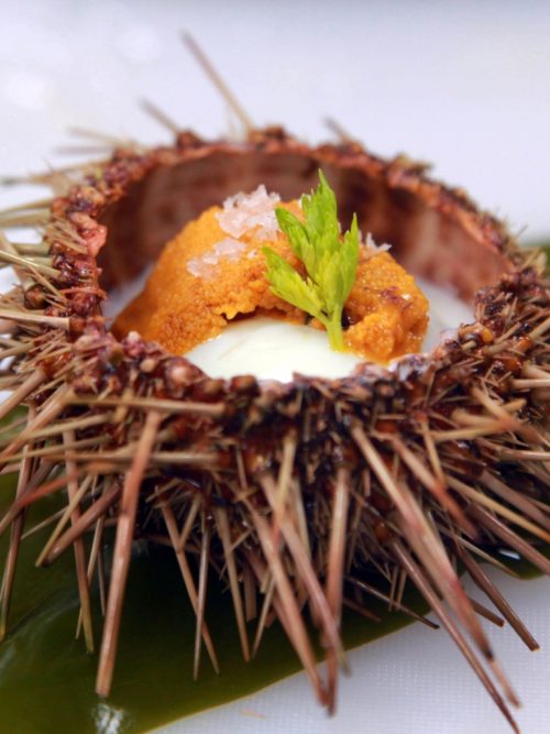 From the Kitchen: Seafood with a Twist in Dalian