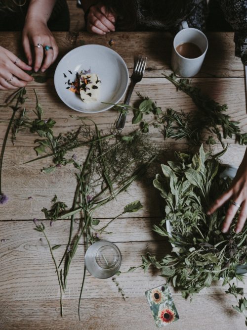 7 Herbs for Cooking You Can Easily Grow Indoors