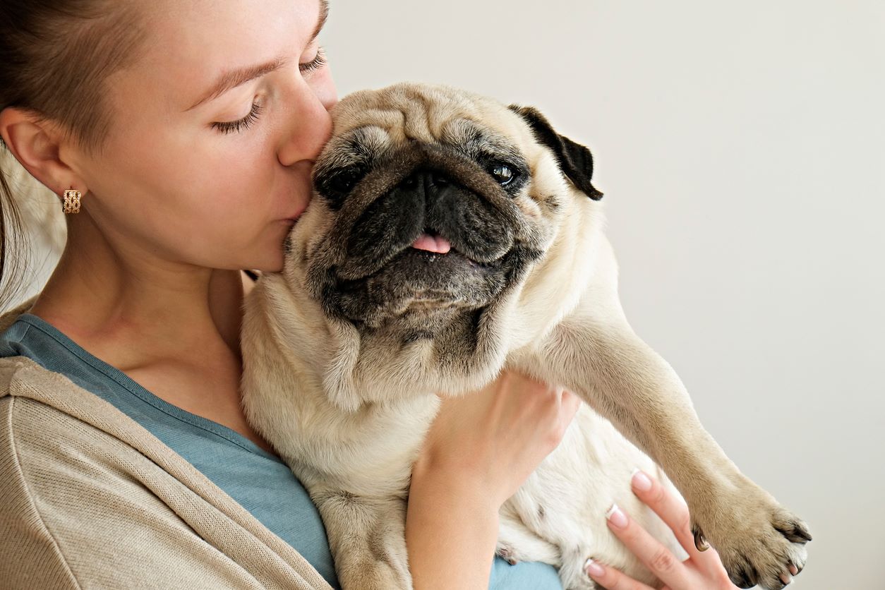 Pet Amenities