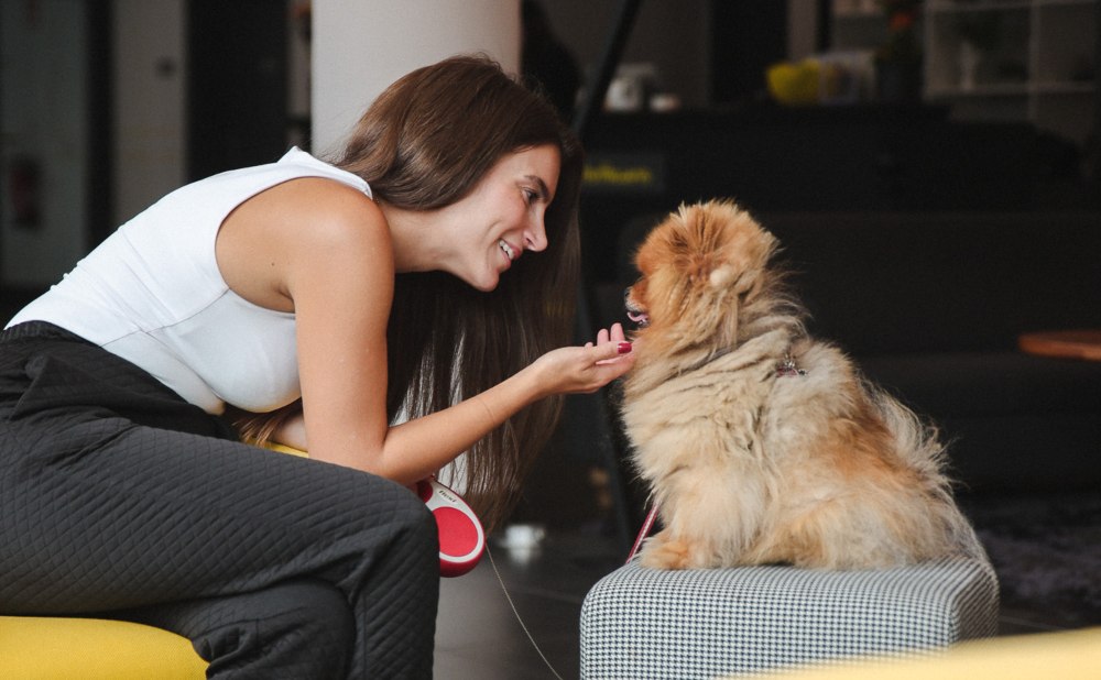 Guest with Dog staying at Capri by Fraser pet friendly hotel in Frankfurt, Germany