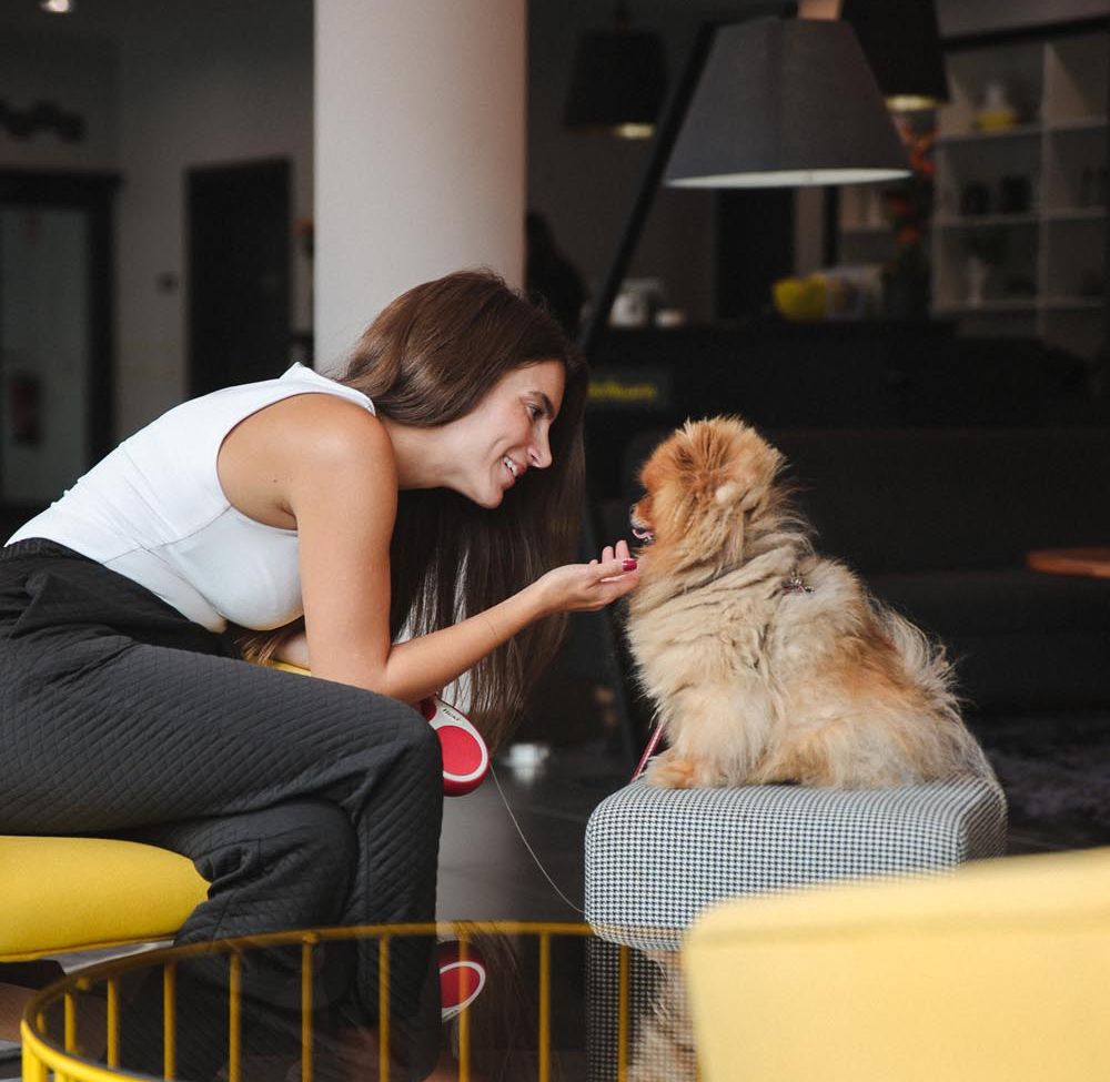 Pet Friendly Amenities
