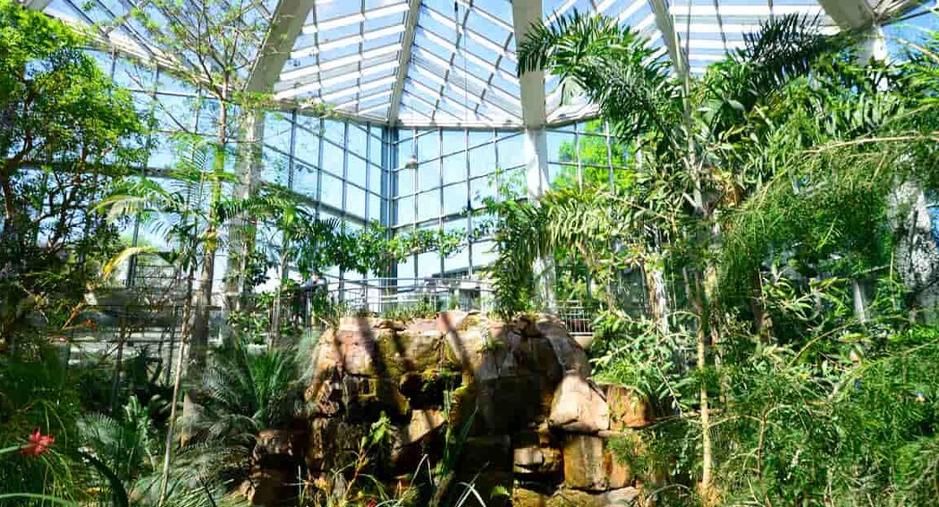 The Most Instagrammable Places in Frankfurt
