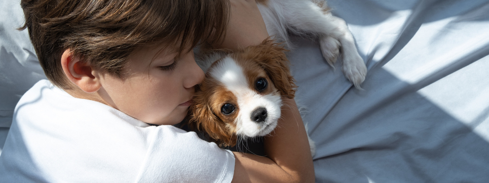 Aménagements pour animaux 