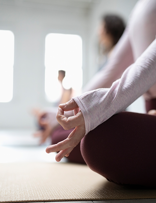 The Wellness Edit