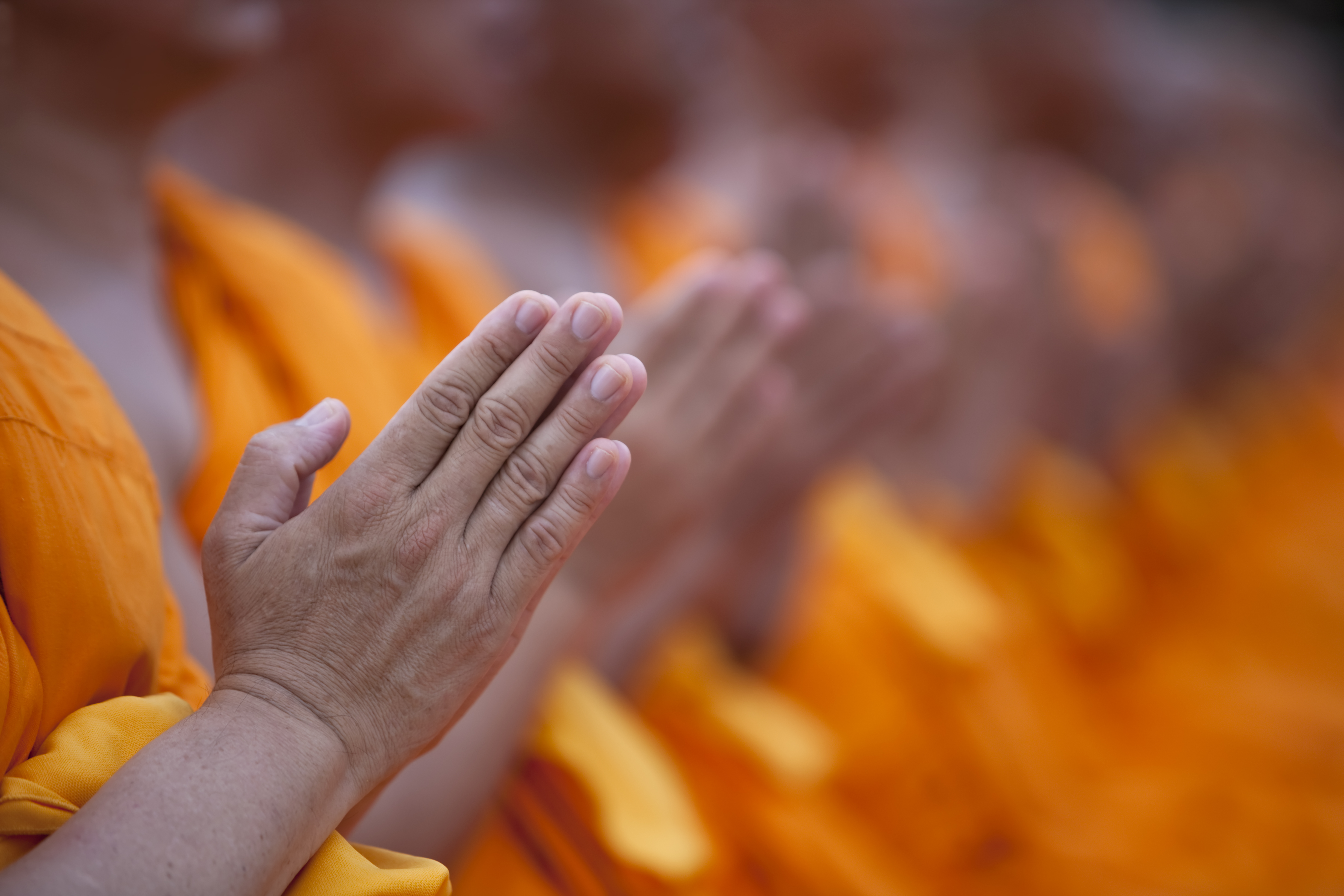 Close-up of monks in orange robes with hands pressed together in prayer