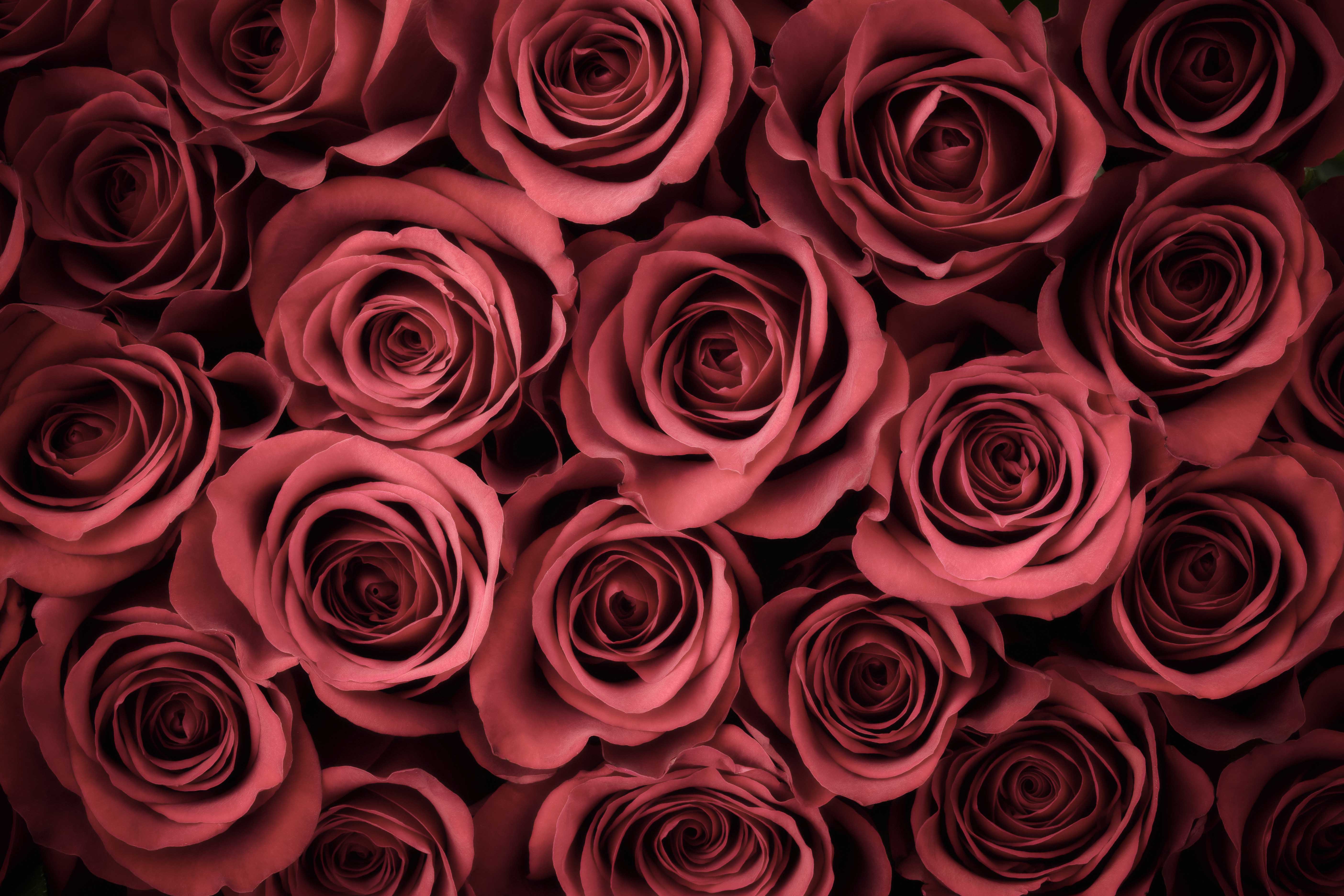 Valentine Experiences in Bangkok 