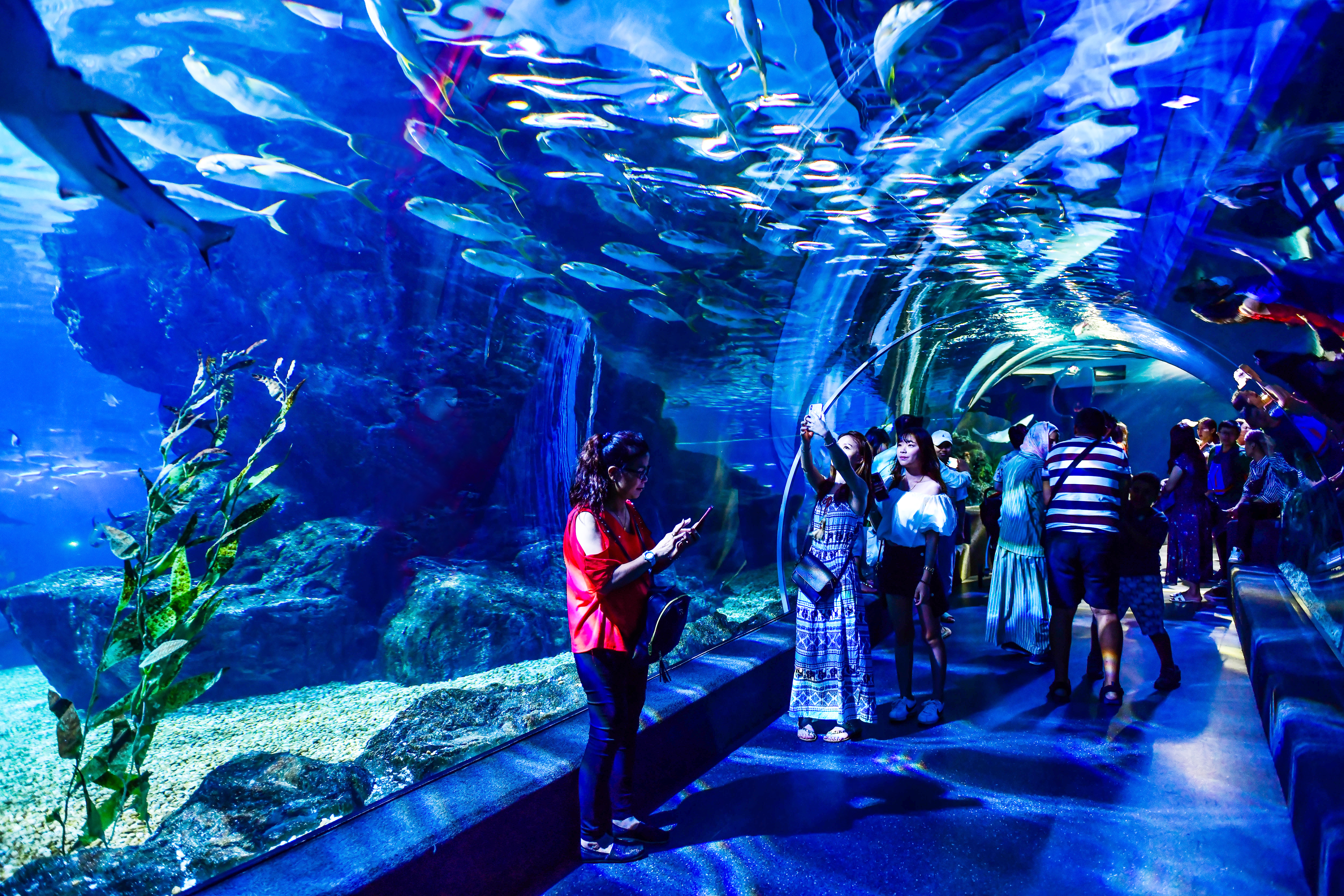 Best Places for Families with Kids