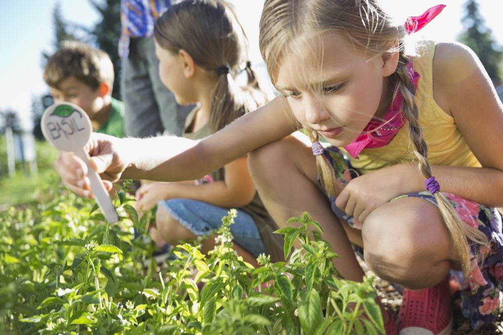 Best Free Things to do With Kids in Kensington, London