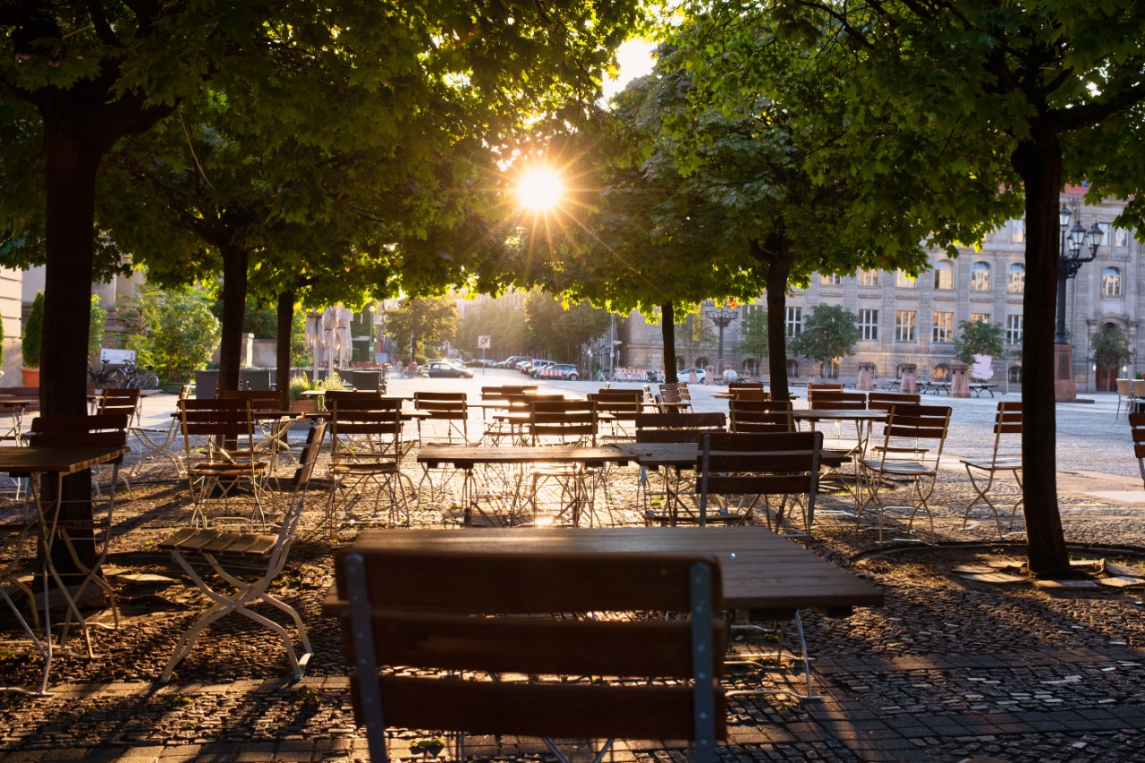 Backlit furniture under green trees in warm morning light