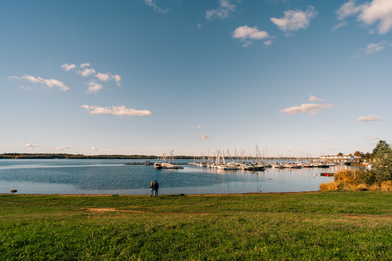 view of marina on Cospudener See lake