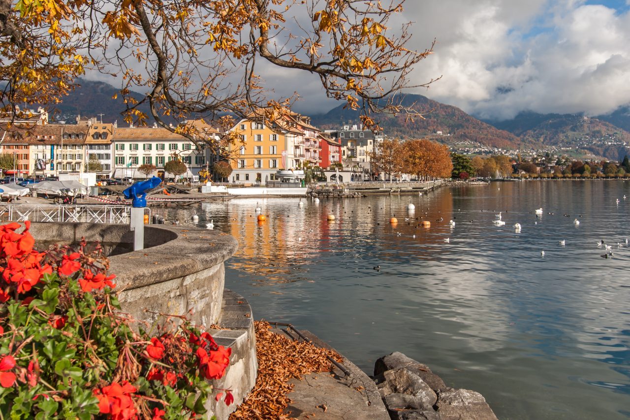 Flowers and Panorama of Vevey and Lake Geneva