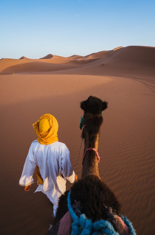camel riding in the Sahara desert