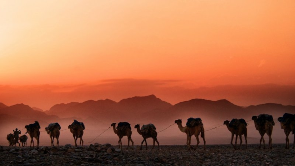 The Empty Quarter