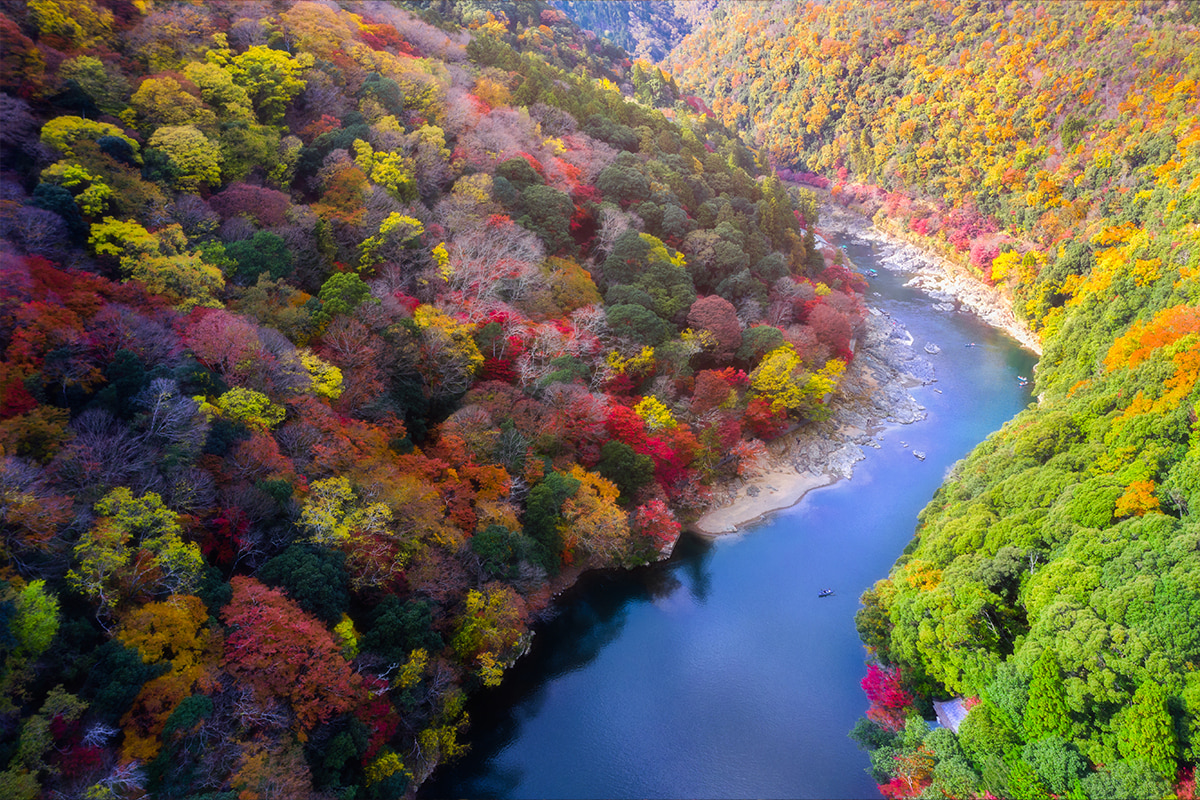 When and where you can enjoy Osaka’s spectacular fall scenery