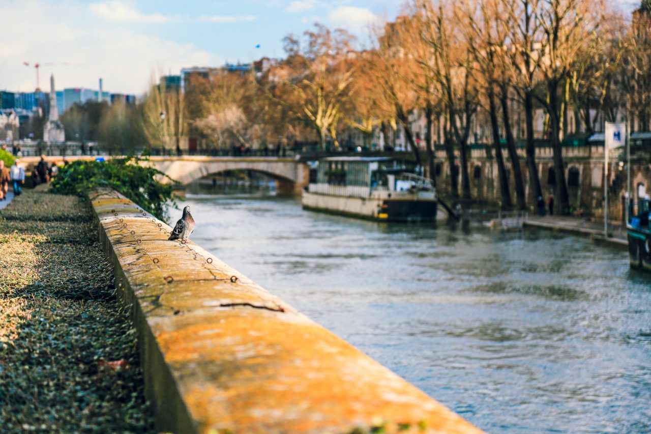 Seine river bank in Paris, France