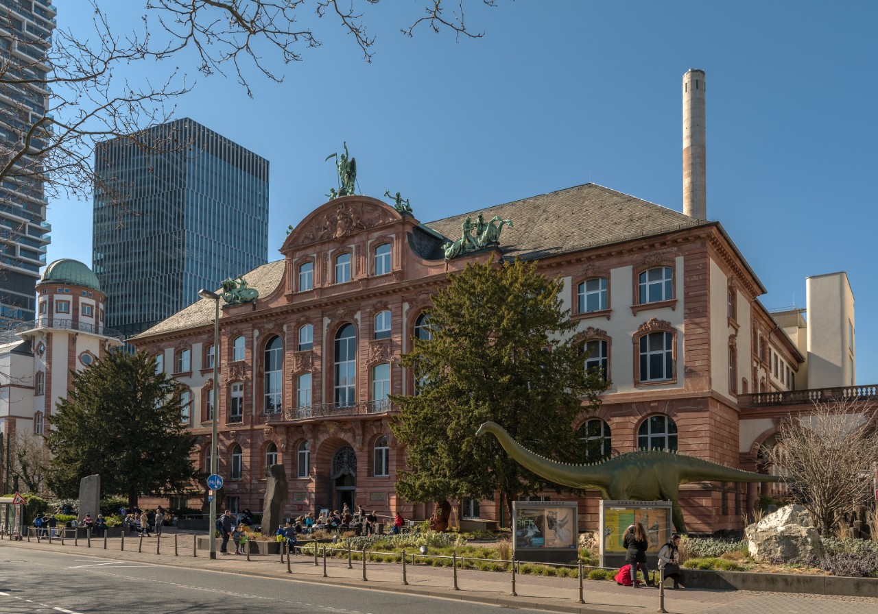 Museum of Natural History Senckenberg Frankfurt