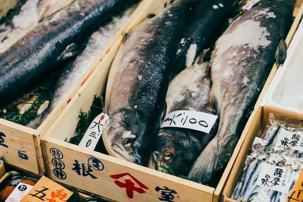 Visit a fish market during your stay at Fraser Place Roppongi Tokyo 
