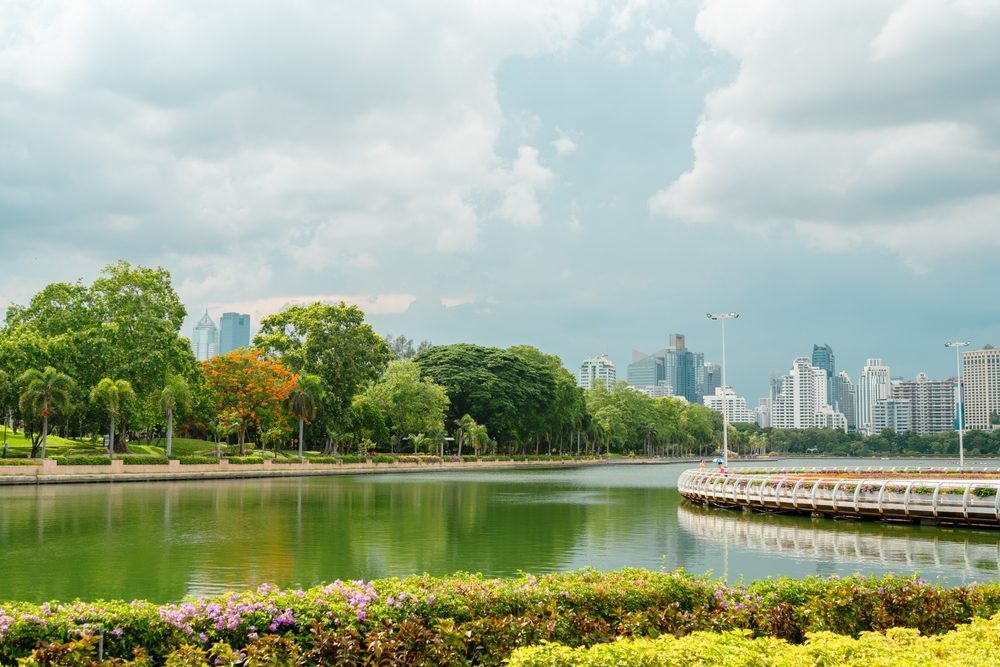 A view of calm lake waters with surrounding greenery and a distant city skyline