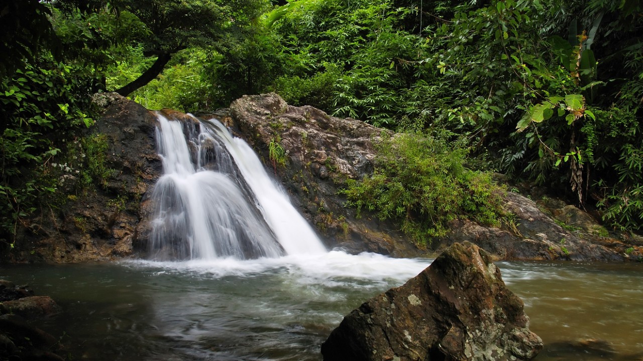 A serene waterfall flowing through a dense jungle