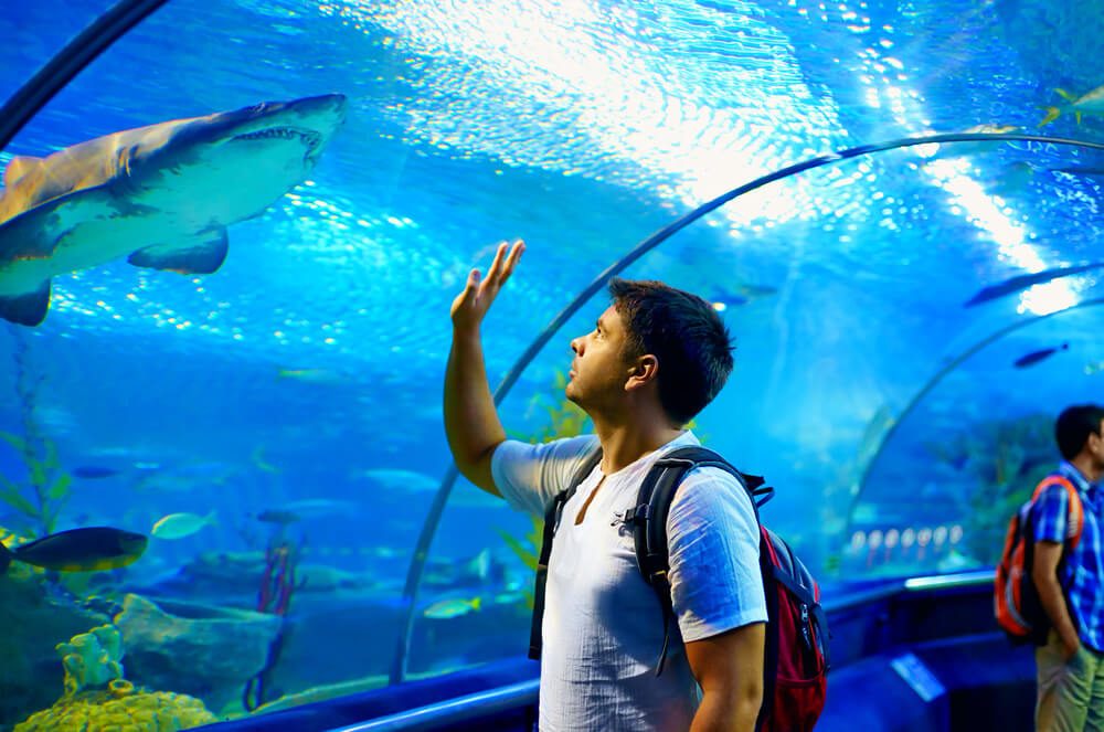 Exploring an aquarium is a fun indoor activity in Bangkok