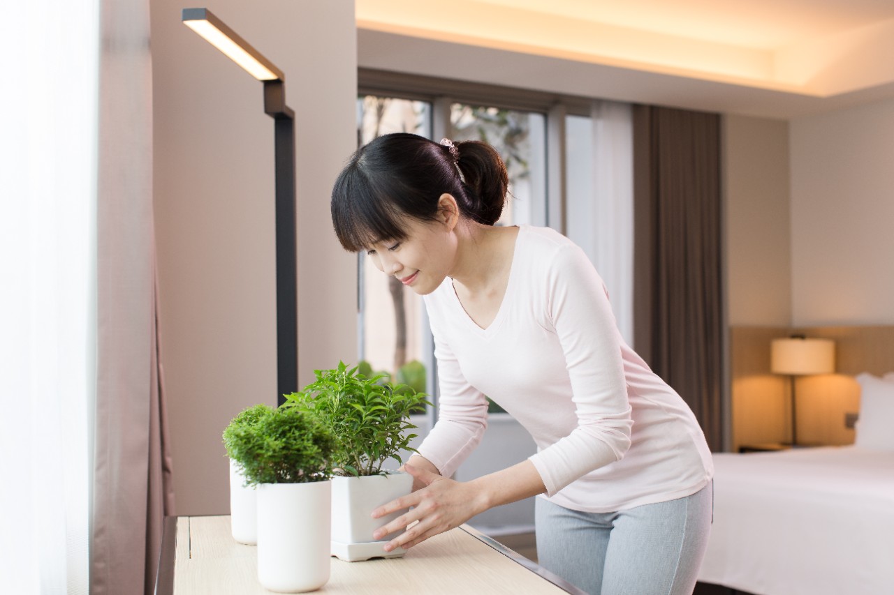 A lady holding a small plant in a pot