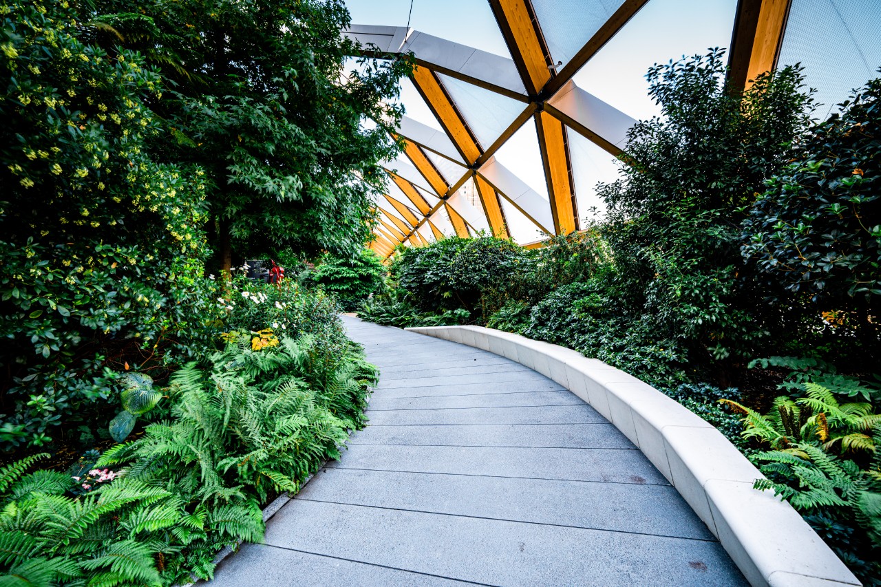 High-tech timber structure above a public park in Canary Wharf