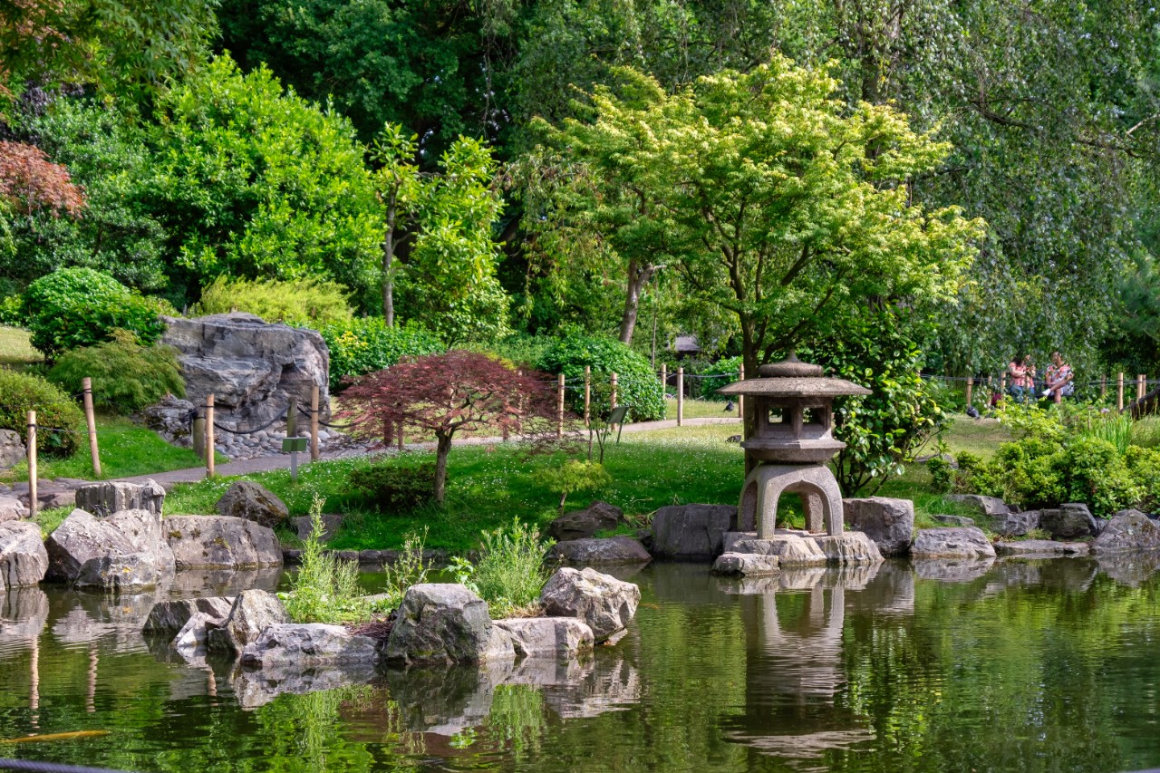 Beautiful traditional Japanese style Garden with a small waterfall, pond and rocks