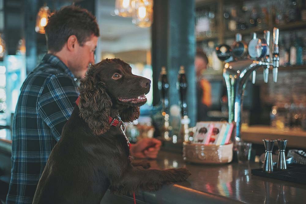 Dog friendly pub in London