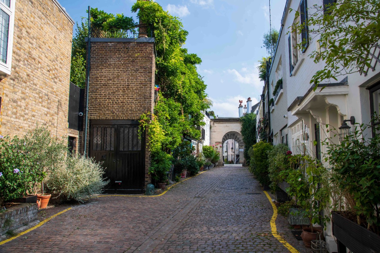 Summer green foliage on Kynance Mews