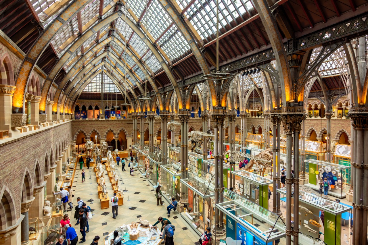 Main hall of Oxford museum of Natural History