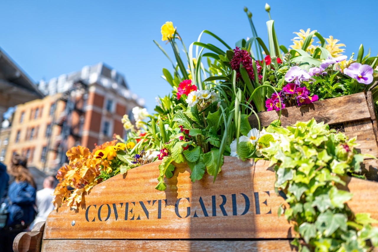 Old fashioned wooden barrow with boxes of flowers, outside the stores of the world famous Covent Garden Market, London.