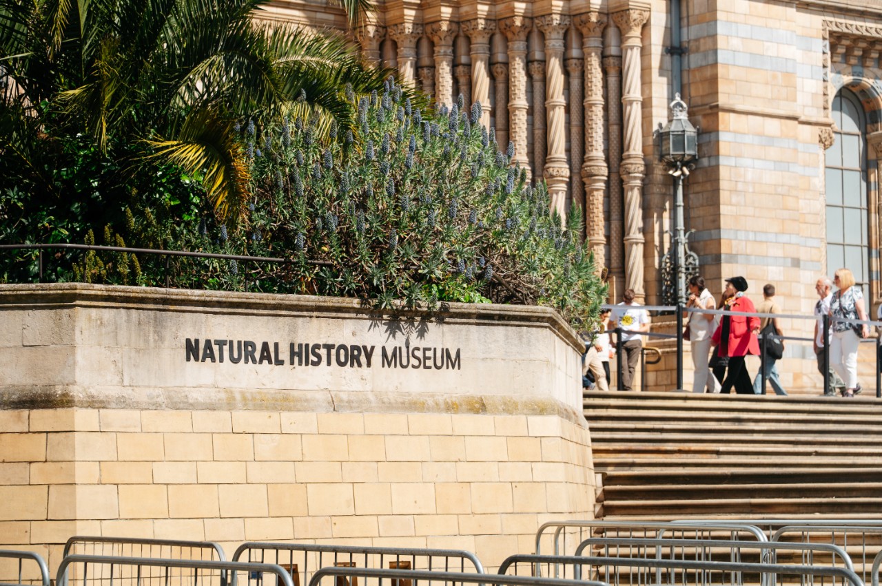 A Natural History Museum sign at its entrance in London